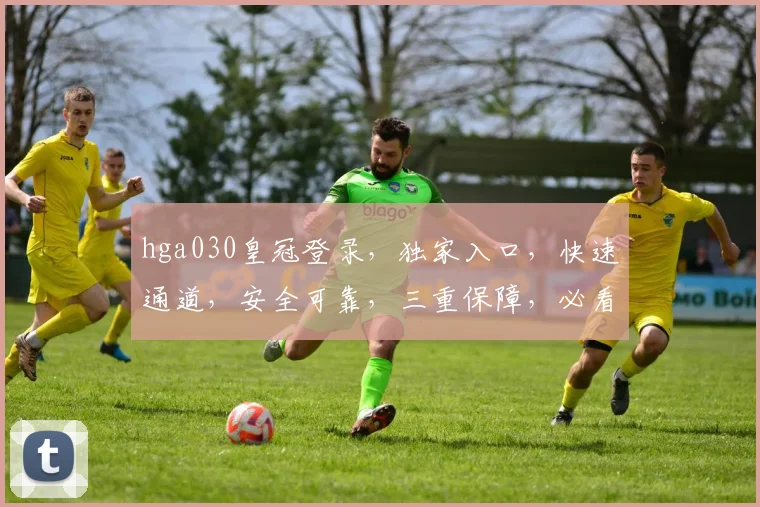 hga030皇冠登录,独家入口,快速通道,安全可靠,三重保障,必看攻略